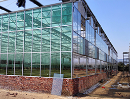 薄膜麻豆黄色片网站采光展示