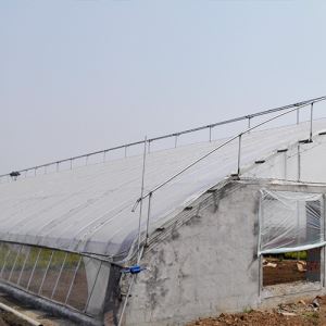 連棟蔬菜麻豆黄色片网站